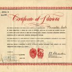 Certificato Alexander, 31 gennaio 1946